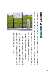 義経、讃岐を駆ける 表紙